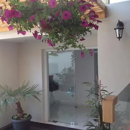 City Zinonos Flats Larnaca